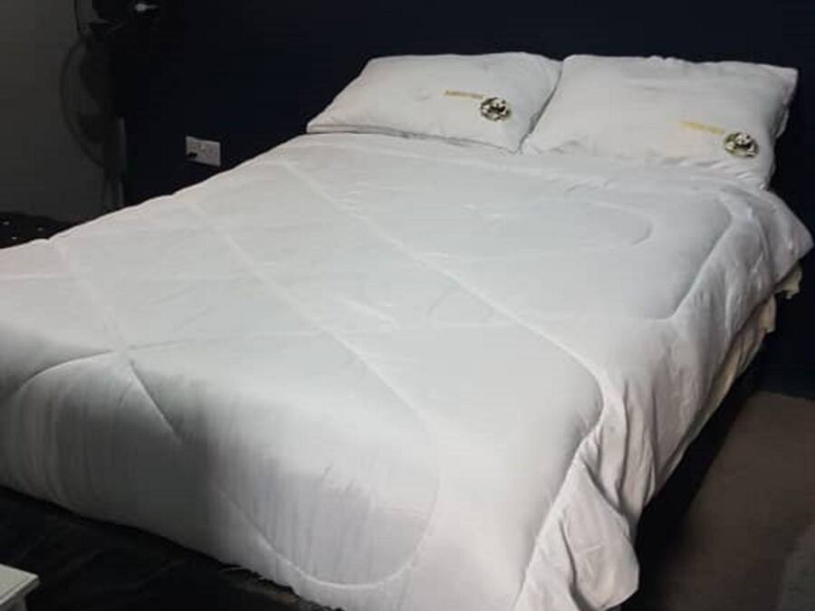 Habitación básica con 2 camas individuales, varias camas | Edredones de plumas, minibar, decoración individual