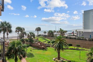 Property grounds - New Heated Pool & Hot tub! Views & palm trees! (Galveston)