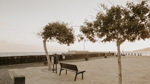 Un banco y dos árboles en un paseo marítimo con un muro de piedra y vistas al mar.