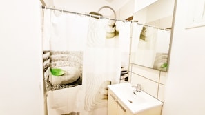 Douche, sèche-cheveux, serviettes fournies, savon