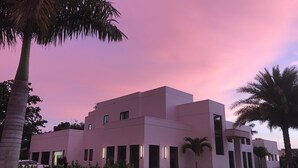 Un bâtiment moderne doté d’un toit plat et de nombreuses fenêtres, entouré d’une végétation bien entretenue et de palmiers.
