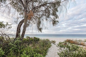 A beach path leading to the ocean with a tree and vegetation in the foreground.