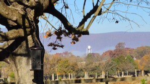Ein Baum mit einem Vogelhaus, einem Holzzaun und einem Wasserturm im Hintergrund.