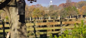 Gorgeous mountain views in Page Valley. Perfect for hikers bikers and kayakers.