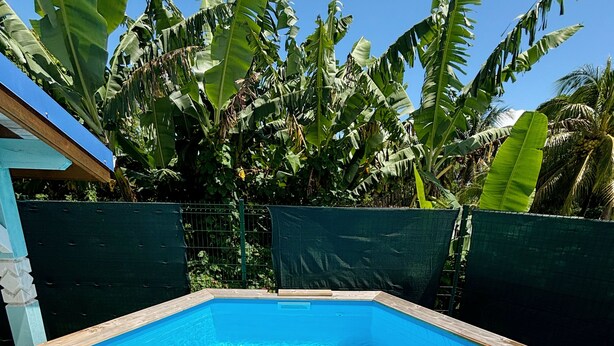 A swimming pool with a metal ladder, surrounded by lush banana trees and a clear blue sky. - Bunghello Village - Private Pool & Spa | Évasion Tropicale (Trois-Rivières)