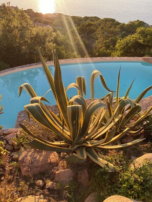 Outdoor pool - Villa with exclusive privacy on the edge of the sea in the heart of Gallura (Costa Paradiso)