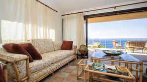 Télévision, cheminée, lecteur de DVD, livres