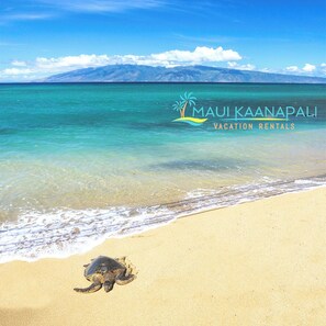 Beach - NEWEST! California Coastal Inspired in Maui 2 BR (Kaanapali)