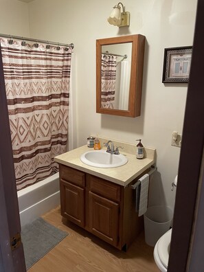 Combined shower/bathtub, towels, soap, shampoo