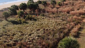 A beach with a clear view of the ocean, a sandy shore, and some vegetation. - Oceanfront Penthouse Overlooking the Atlantic Ocean (Daufuskie Island)