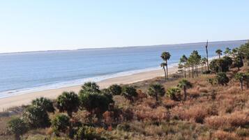 On the beach, sun loungers, beach towels