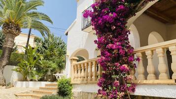 Área da propriedade