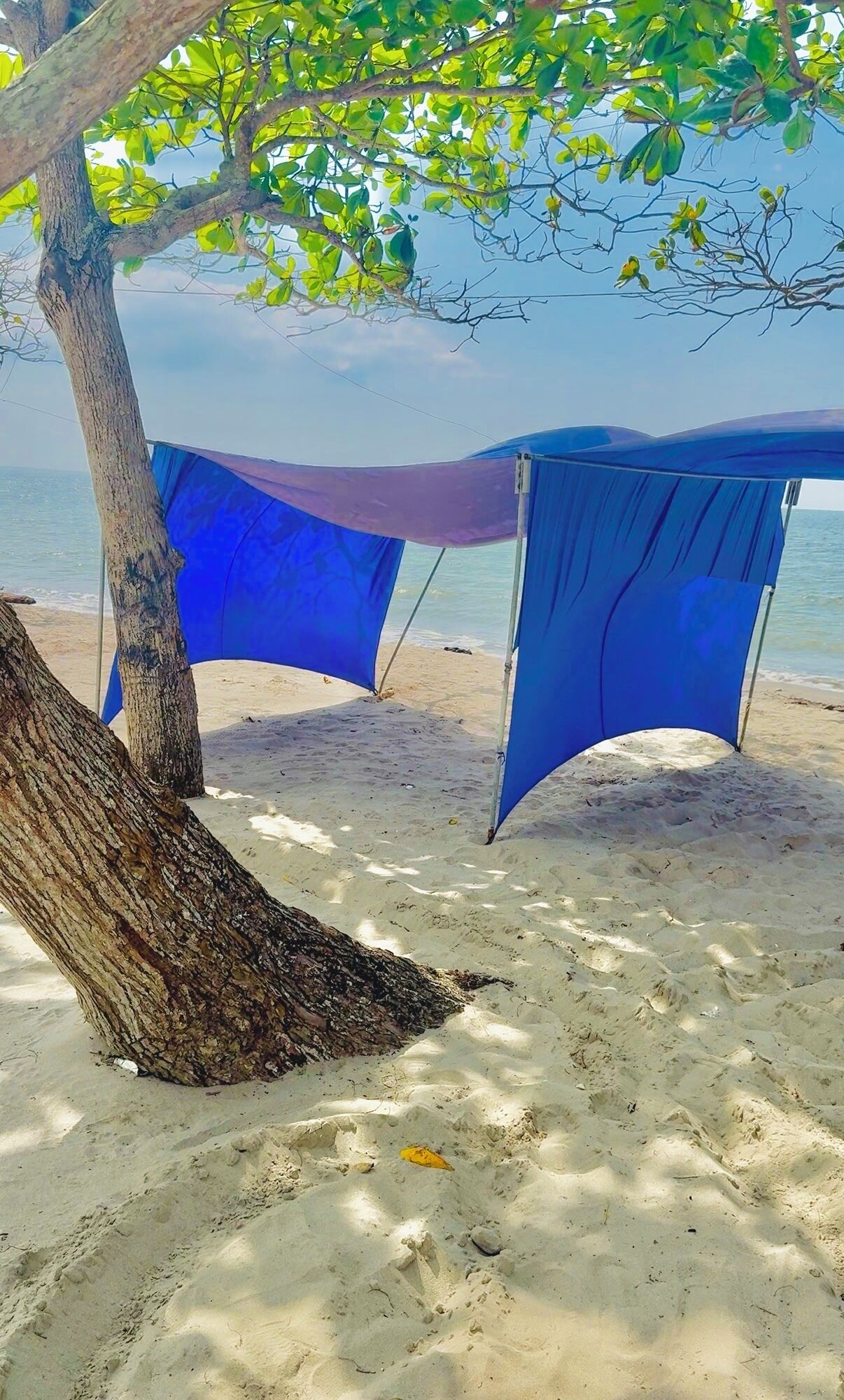 Une plage avec un arbre et un parasol bleu.