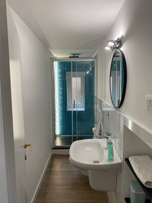 Combined shower/tub, hair dryer, bidet, towels