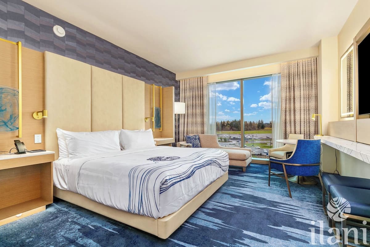 A hotel room with a large bed, a desk, a chair, and a view of the outdoors.