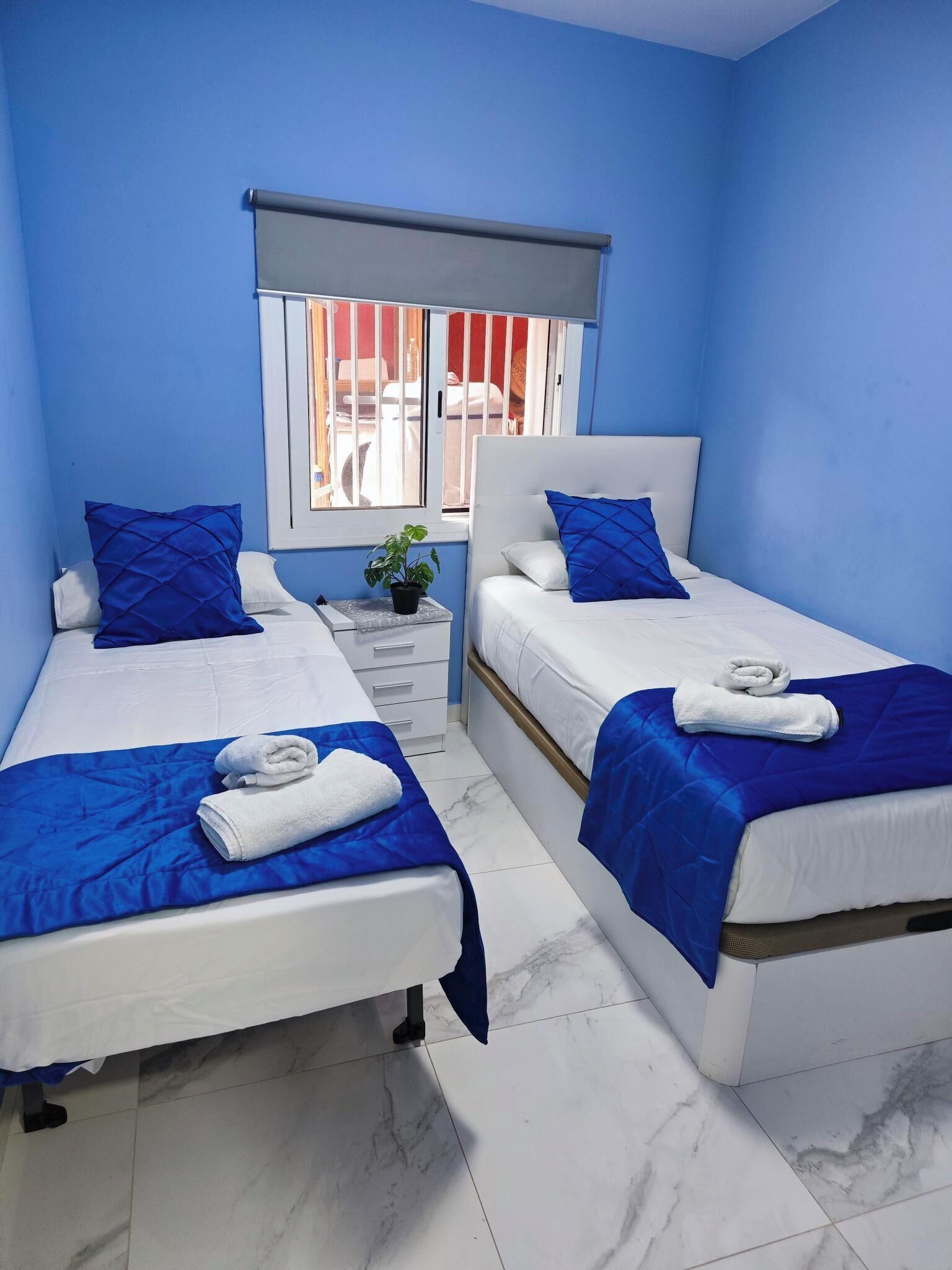 A hotel room with two beds, each with blue bedding and white pillows, a small bedside table with a plant, and a window with blinds.