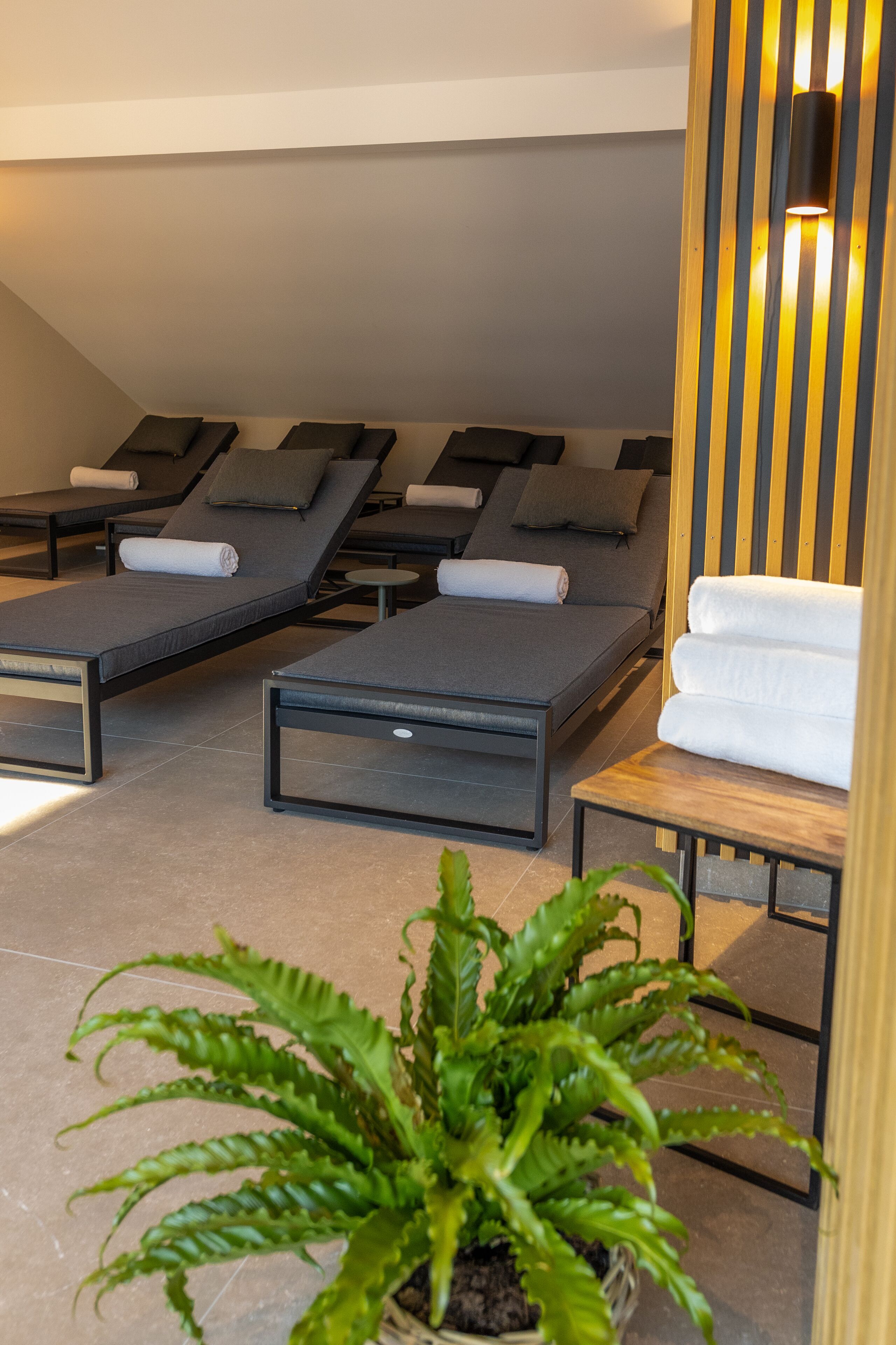 Sauna, hammam, massages aux pierres chaudes, 3 salles de soins, massages