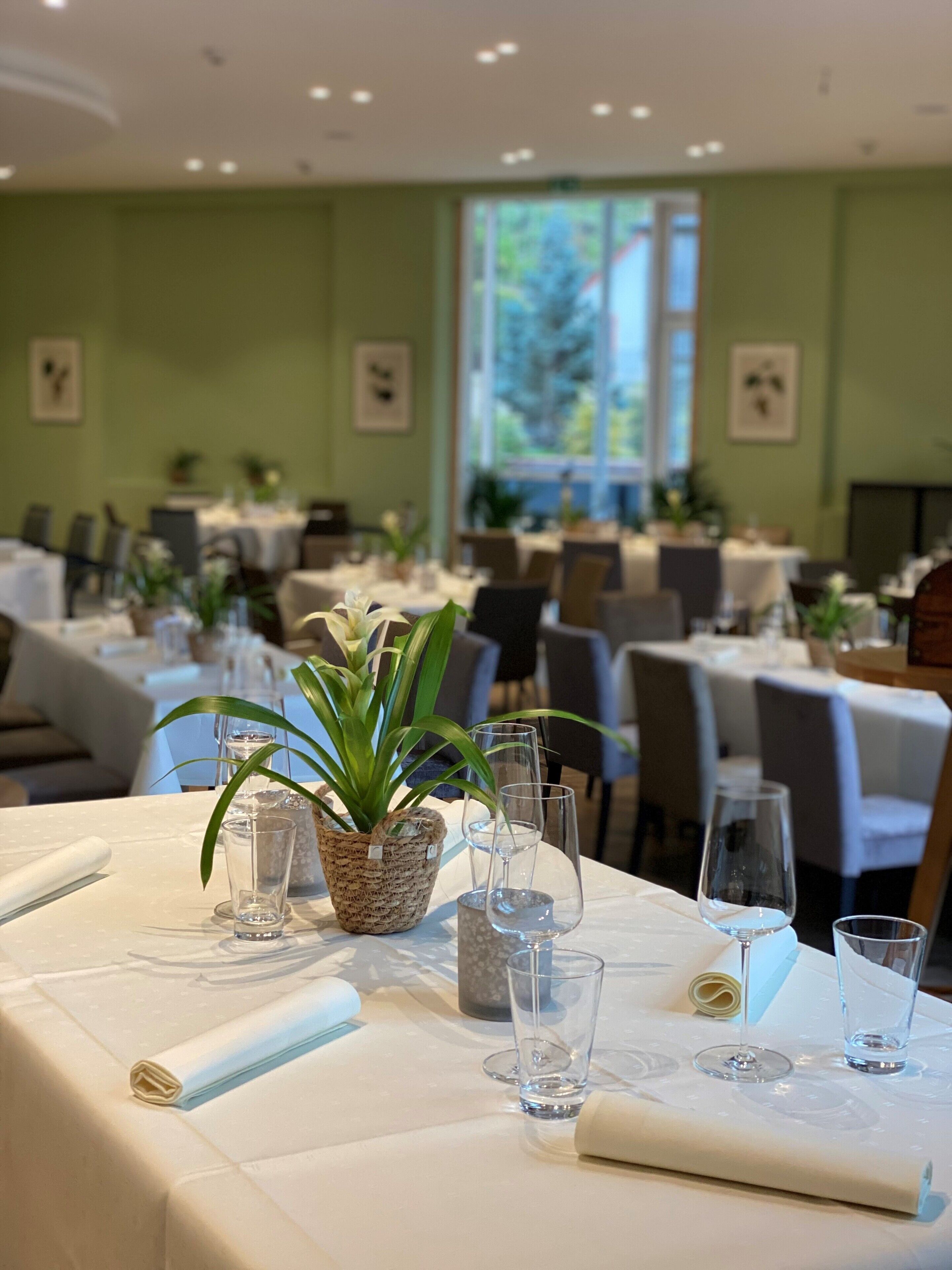 A restaurant with tables set for dining, featuring a potted plant and empty wine glasses.