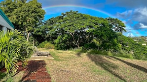 Un jardín con un sendero de ladrillo, un banco y un árbol grande.