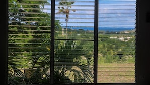 Una ventana con persianas horizontales, vista a un paisaje verde con palmeras y una lejana masa de agua.