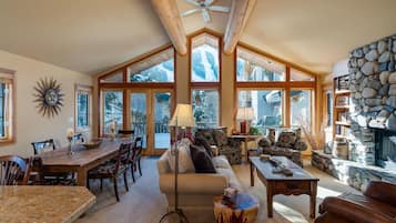 Télévision, cheminée, livres