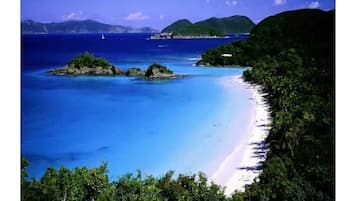 Sun loungers, beach towels