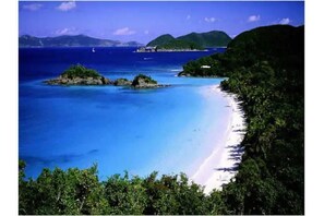 A beach with clear blue water, a sandy shore, and lush greenery.