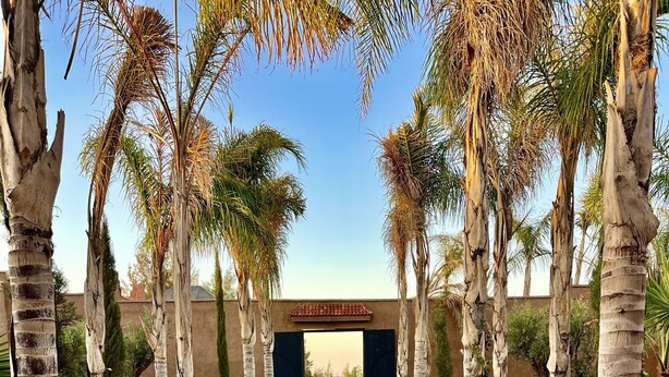 A pathway leading to a building entrance with a tiled floor and palm trees. - Casa Del Senator Marrakech (Aghouatim)