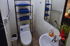 Shower, towels, soap, toilet paper