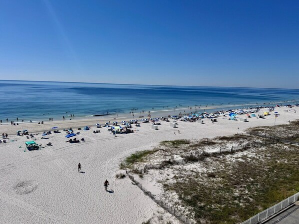 On the beach - 🏖️ Wild and free just like the sea🌴 (Gulf Shores)