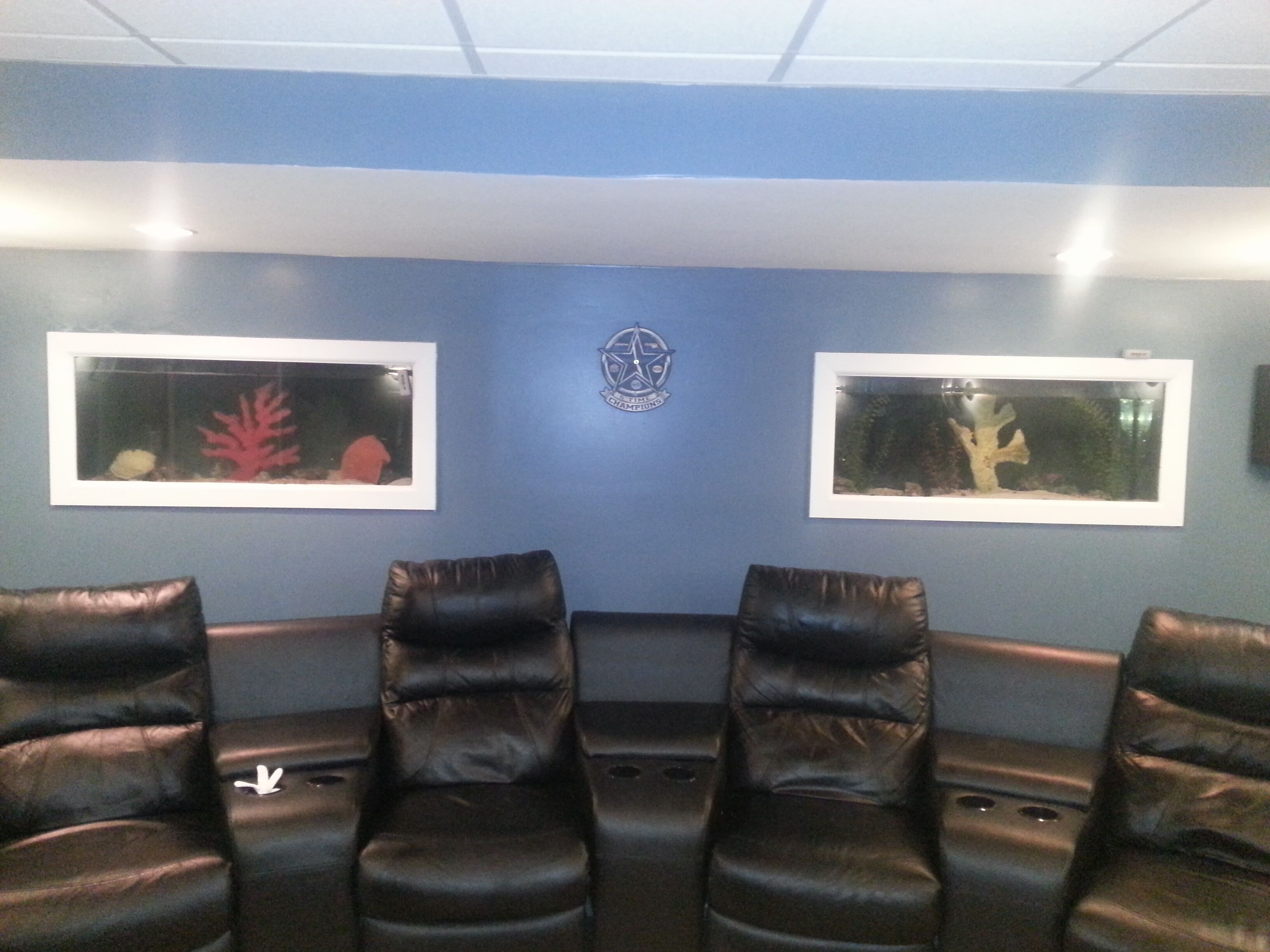 A room with blue walls, two framed aquarium pictures, and three leather chairs.