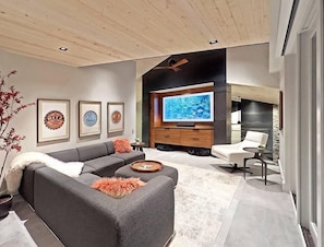 Televisión, chimenea, estéreo y oficina 