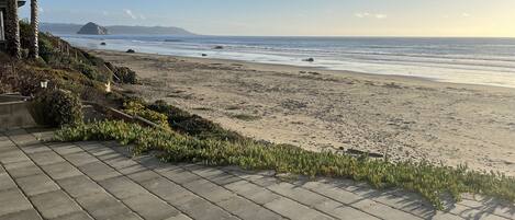 Accommodatie ligt op het strand, strandlakens
