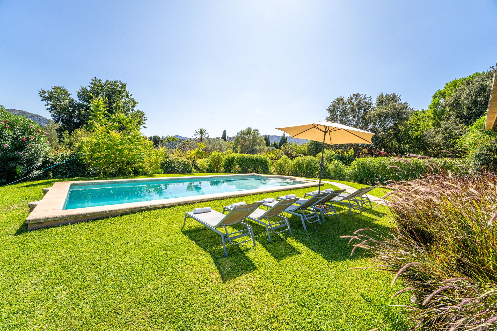 A rectangular swimming pool with a surrounding grassy area, lounge chairs, and an umbrella.