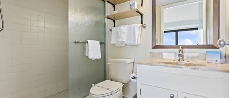 A bathroom with a glass-enclosed shower, a toilet, and a sink with a mirror above it.