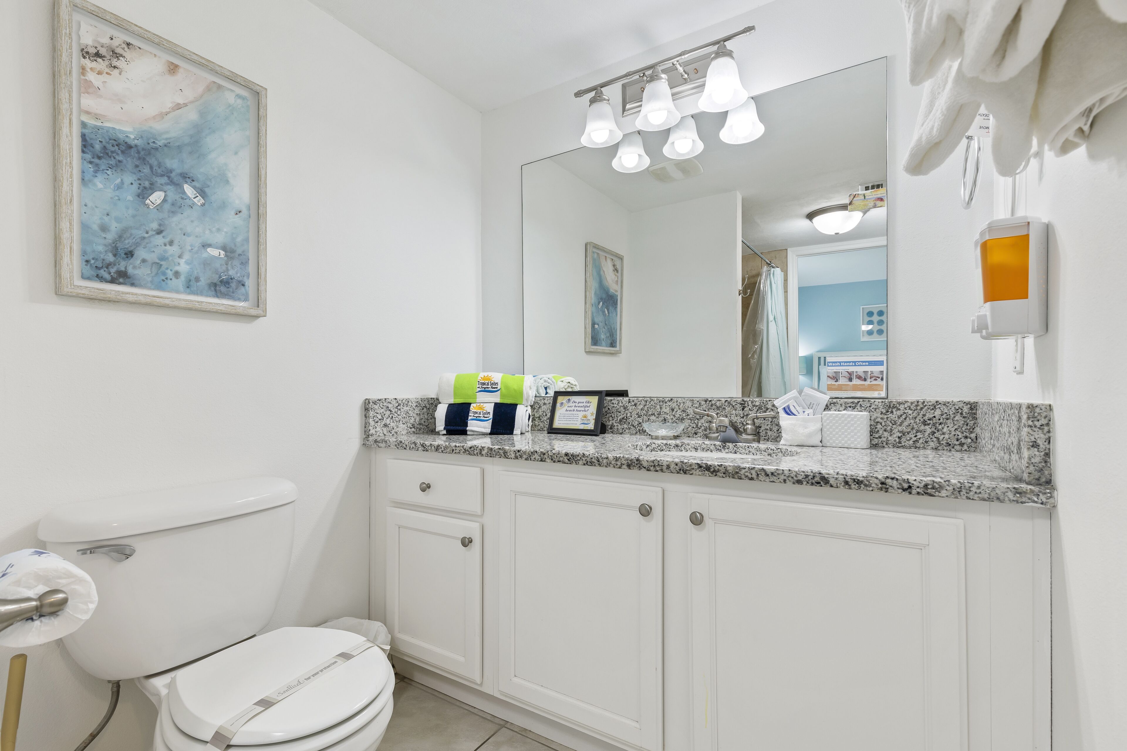 A bathroom with a white toilet, a granite countertop, a large mirror, and a framed painting on the wall.