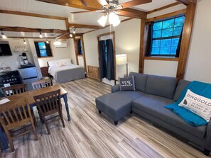Smart TV, fireplace, books