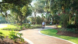 Un camí pavimentat a un parc amb una persona anant en bicicleta.