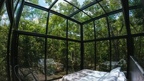 Habitación con paredes de vidrio, una cama y una silla, con vistas a un bosque.