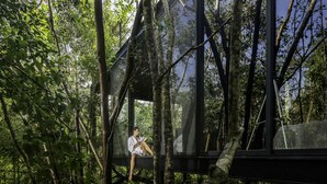 Una estructura de vidrio en un bosque, con una persona leyendo.