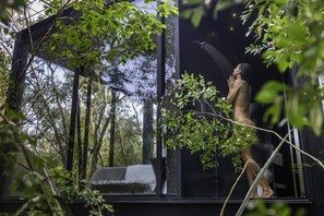 A person standing by a window with a view of trees and a waterfall. - Glass 20.87 (Leona Vicario)
