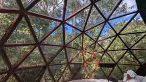 Una estructura de domo geodésico con vistas a un bosque denso a través de sus paneles de vidrio triangulares.
