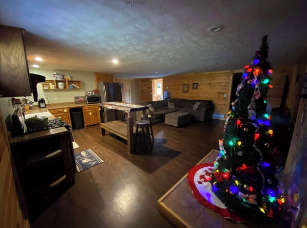 Smart TV, fireplace, video games, books