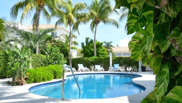 A swimming pool surrounded by palm trees and lounge chairs, with a building in the background.