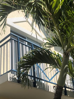 Detalle exterior