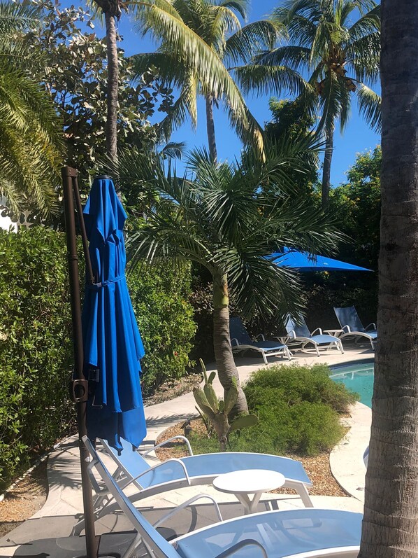 Un área junto a la piscina con sillones de descanso y sombrillas, rodeada de palmeras y follaje.
