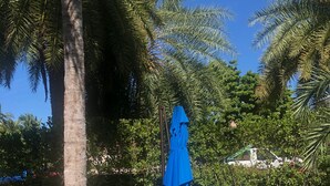 A poolside area with lounge chairs and a blue umbrella.