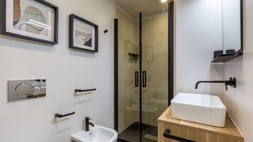 Ducha, cabezal de ducha tipo lluvia, secador de pelo, bidet