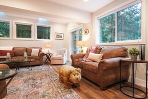 TV, peis, DVD-spiller og filmbibliotek