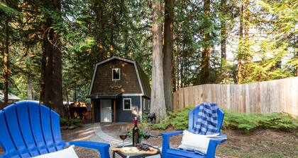 Explore Mt. Baker with Your Family at Kulshan Cabin: Book Your Adventure Today!